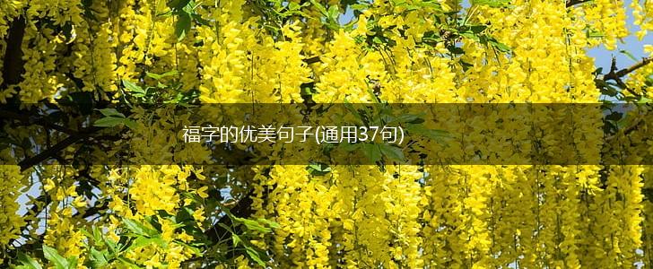 福字的优美句子(通用37句),第1张