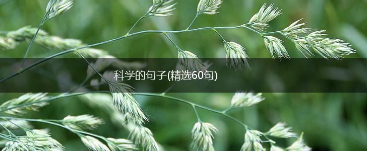科学的句子(精选60句),第1张