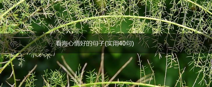看海心情好的句子(实用40句),第1张