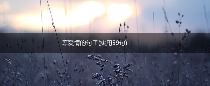 等爱情的句子(实用59句),第1张