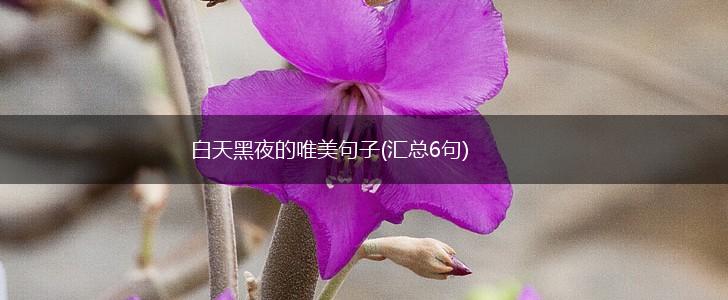 白天黑夜的唯美句子(汇总6句),第1张