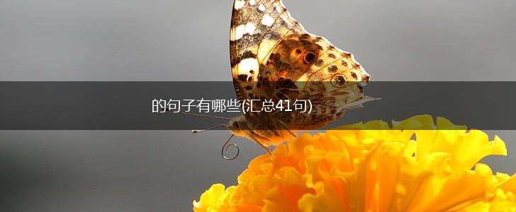 的句子有哪些(汇总41句),第1张