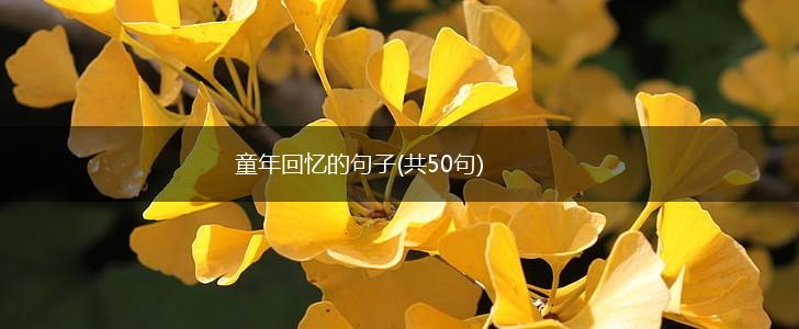 童年回忆的句子(共50句),第1张