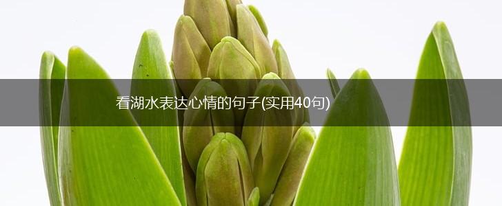 看湖水表达心情的句子(实用40句),第1张