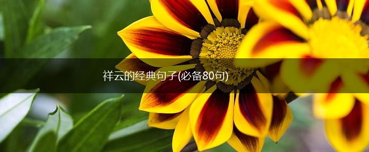 祥云的经典句子(必备80句),第1张