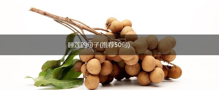 睡莲的句子(推荐50句),第1张