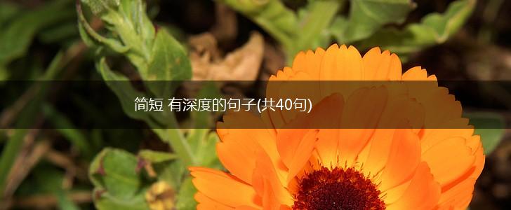 简短 有深度的句子(共40句),第1张