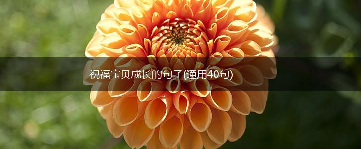 祝福宝贝成长的句子(通用40句),第1张