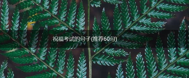 祝福考试的句子(推荐60句),第1张