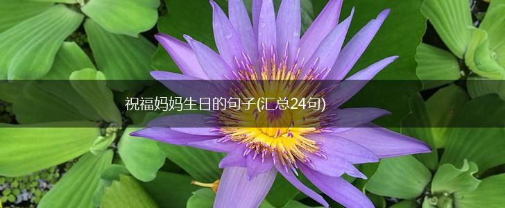 祝福妈妈生日的句子(汇总24句),第1张