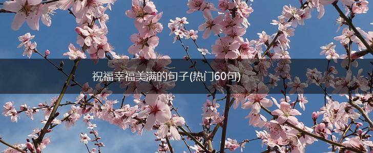 祝福幸福美满的句子(热门60句),第1张