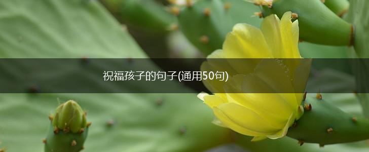 祝福孩子的句子(通用50句),第1张