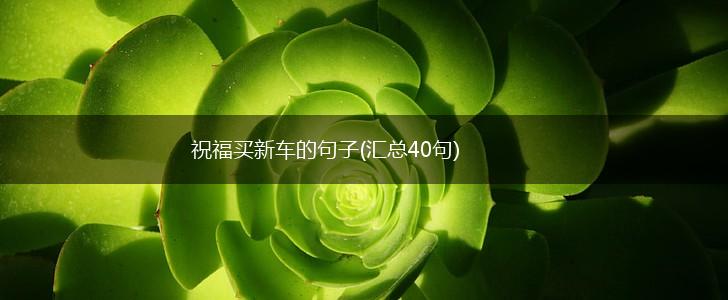 祝福买新车的句子(汇总40句),第1张
