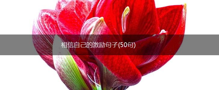 相信自己的激励句子(50句),第1张