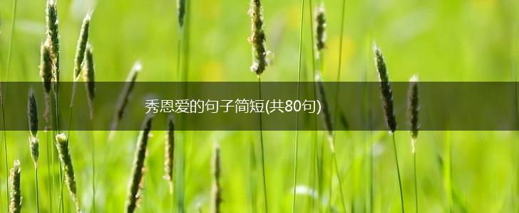 秀恩爱的句子简短(共80句),第1张