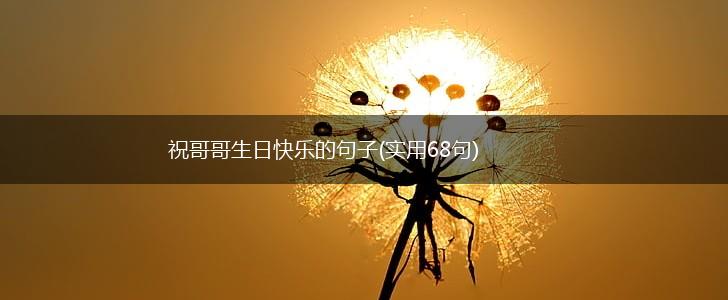 祝哥哥生日快乐的句子(实用68句),第1张