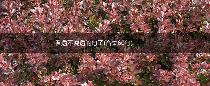 看透不说透的句子(合集60句),第1张
