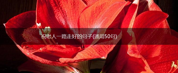 祝老人一路走好的句子(通用50句),第1张