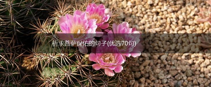 祈求菩萨保佑的句子(优选70句),第1张