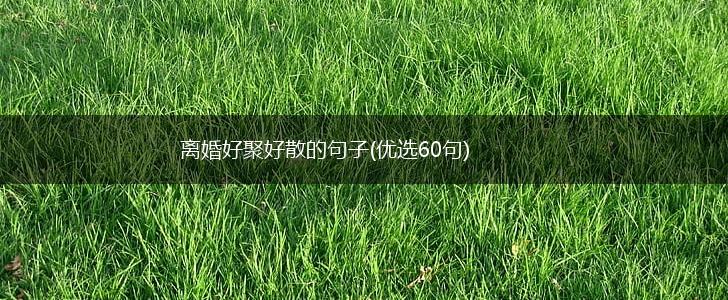 离婚好聚好散的句子(优选60句),第1张