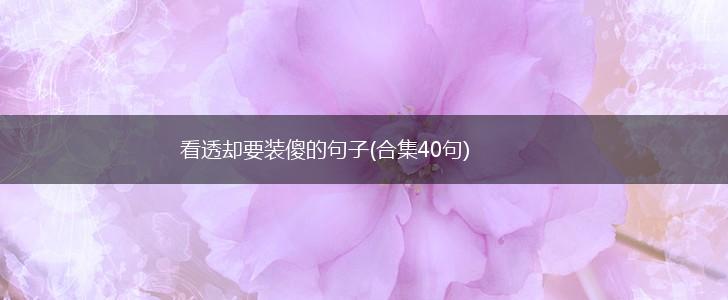 看透却要装傻的句子(合集40句),第1张