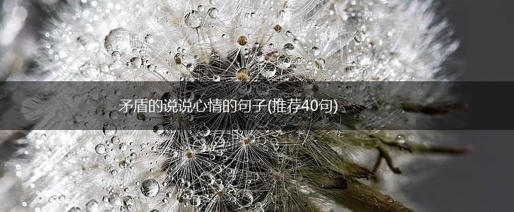 矛盾的说说心情的句子(推荐40句),第1张