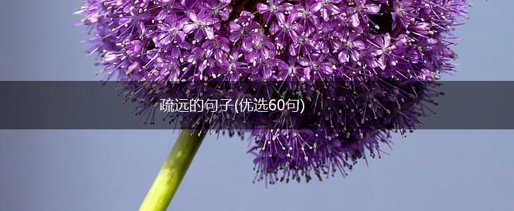 疏远的句子(优选60句),第1张