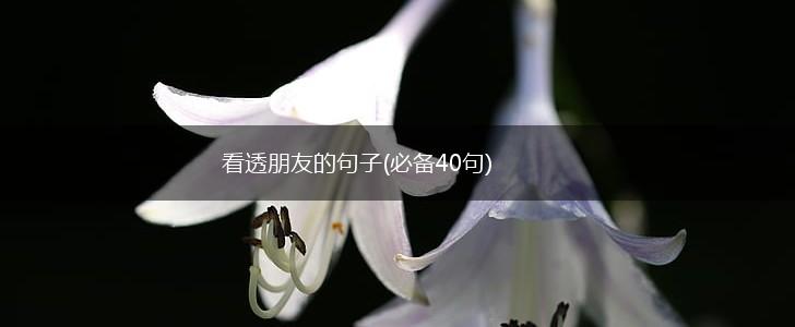 看透朋友的句子(必备40句),第1张