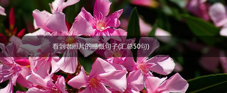 看到老照片的感慨句子(汇总50句),第1张