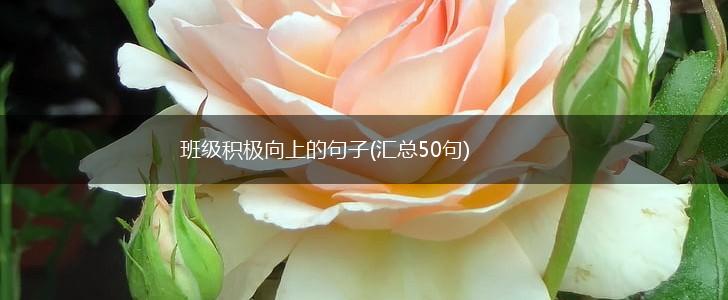 班级积极向上的句子(汇总50句),第1张