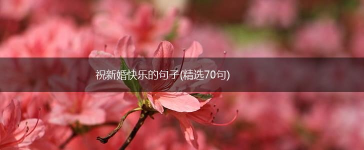 祝新婚快乐的句子(精选70句),第1张