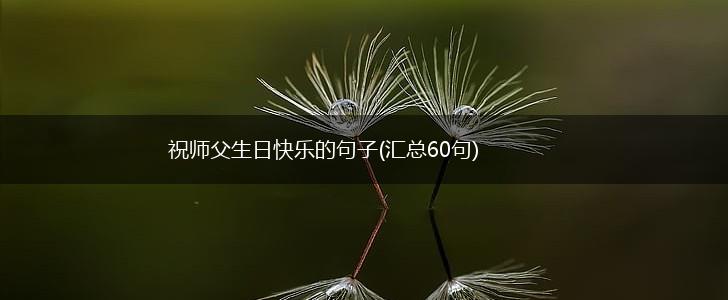 祝师父生日快乐的句子(汇总60句),第1张