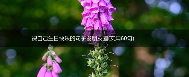 祝自己生日快乐的句子发朋友圈(实用60句),第1张