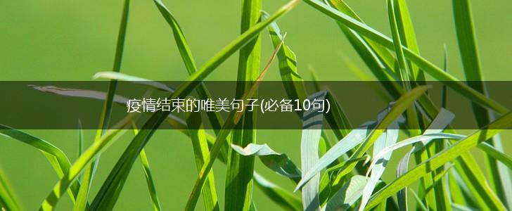 疫情结束的唯美句子(必备10句),第1张