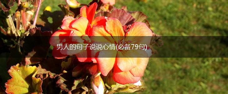 男人的句子说说心情(必备79句),第1张