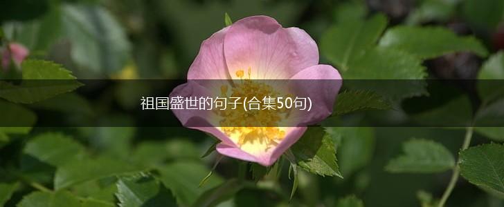 祖国盛世的句子(合集50句),第1张