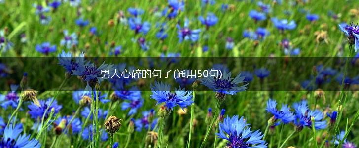 男人心碎的句子(通用50句),第1张
