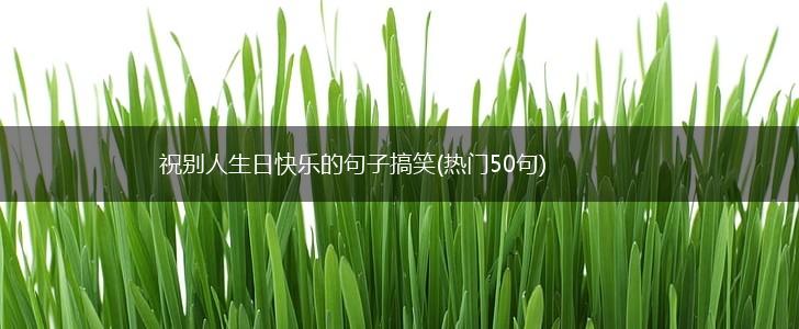 祝别人生日快乐的句子搞笑(热门50句),第1张