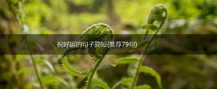 祝好运的句子简短(推荐79句),第1张