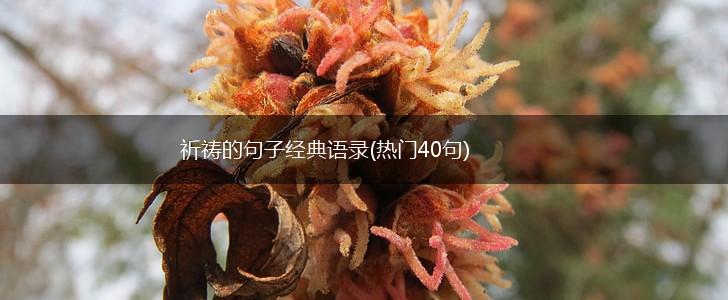 祈祷的句子经典语录(热门40句),第1张