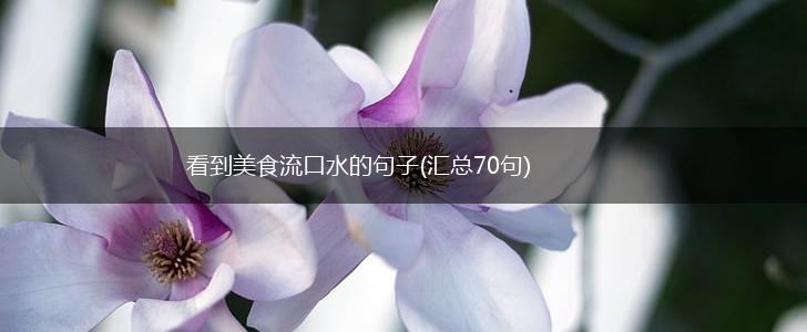 看到美食流口水的句子(汇总70句),第1张