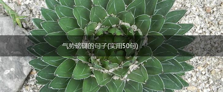 气势磅礴的句子(实用50句),第1张