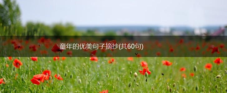 童年的优美句子摘抄(共60句),第1张