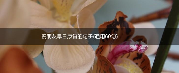 祝朋友早日康复的句子(通用60句),第1张