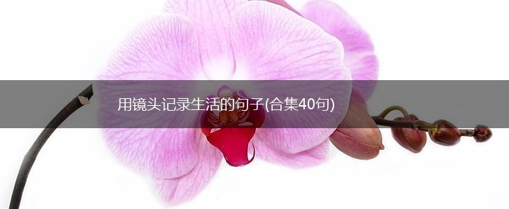 用镜头记录生活的句子(合集40句),第1张