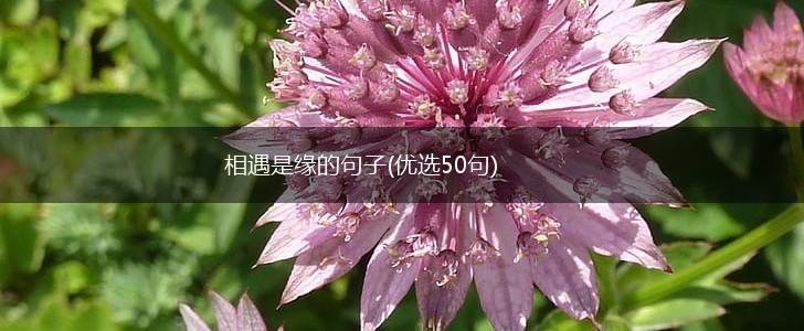 相遇是缘的句子(优选50句),第1张