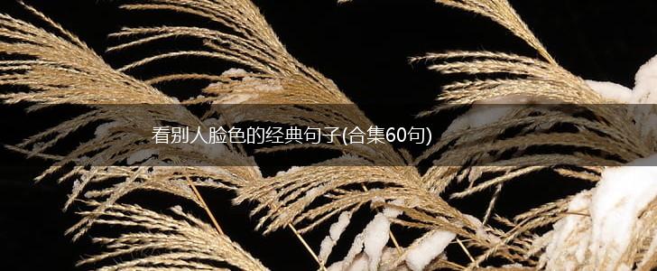 看别人脸色的经典句子(合集60句),第1张