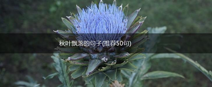 秋叶飘落的句子(推荐50句),第1张