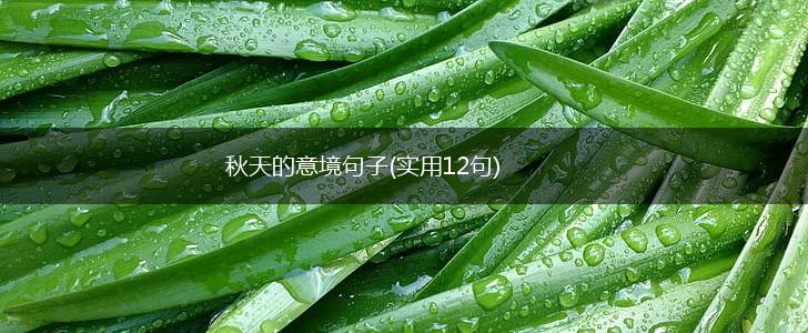 秋天的意境句子(实用12句),第1张