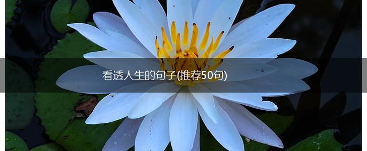 看透人生的句子(推荐50句),第1张